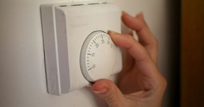 A quarter of homes won't afford energy bills in October, warns Citizens Advice