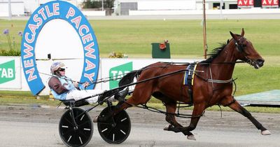 Darren Elder hoping break sparks Bright Energy in Newcastle return