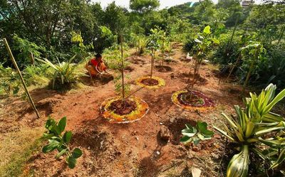 Hyderabadis find solace in green memorials