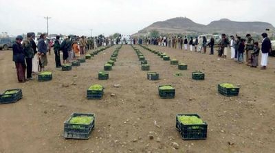 Houthi Levies Impoverish Yemeni Farmers