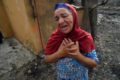 'Tornado of fire': Algeria forest blazes kill 38