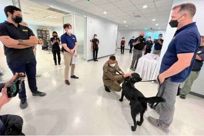 Electronics sniffer-dog trained to help in child sex abuse cases