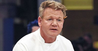 Gordon Ramsay mocked for selling expensive lamb dish that looks like 'two cubes of Spam'