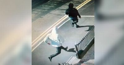 Thugs carry out string of robberies in 'chaotic' half-hour spree