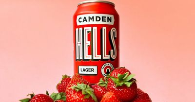 Camden's special Strawberry Hells lager returns to mark Tank Party celebration