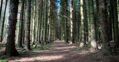 West Lothian residents urged to apply for path improvement fund