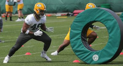 TE Dominique Dafney reverts back to Packers injured reserve list