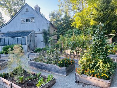 For hire or food, garden sitters save the day during summer