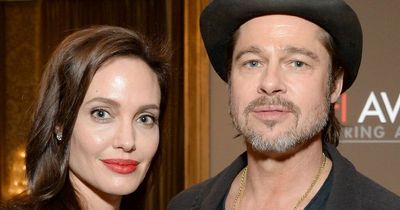 Angelina Jolie 'told FBI' Brad Pitt yelled at 'shocked' kids 'mum's crazy' in plane row