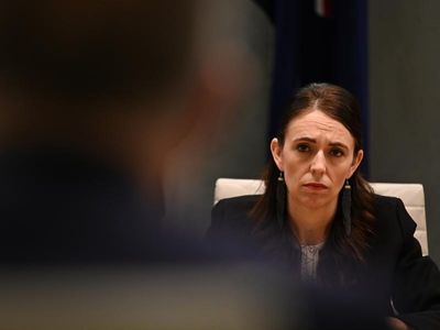 NZ Labour renegade labels Ardern a liar