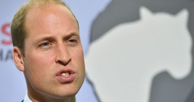 Prince William slams 'insidious' wildlife crimes as poacher given five years in prison