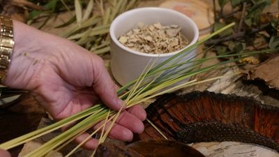 As the bush food industry expands in Australia, there are calls for more to be done to boost Aboriginal involvement