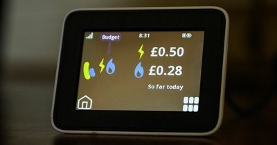 Octopus Energy customers urged to think about fixed rate tariff