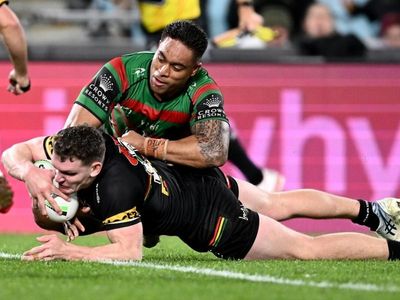 Panther Martin's miraculous NRL recovery