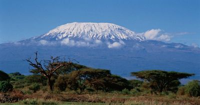 High-speed internet installed on Kilimanjaro so climbers can send selfies at 12,000ft