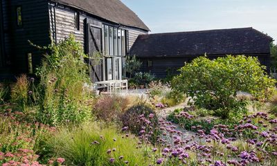 No watering required: a drought-resistant garden for a changing climate