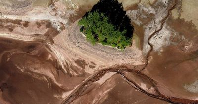 Drought declared for large parts of Wales