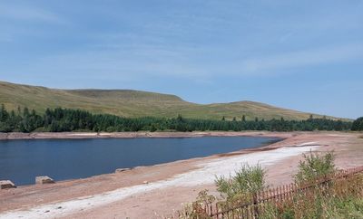 Drought declared in part of Wales after heatwave and low rainfall