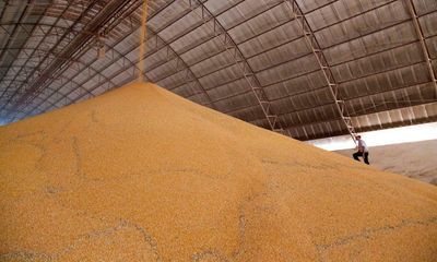 Leading grain traders ‘sourcing soy beans from Brazilian farm linked to abuse’