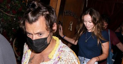 Harry Styles enjoys date night with Olivia Wilde as she prepares for custody battle