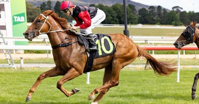 Luke Pepper's Opal Ridge set to shine in Silver Shadow Stakes