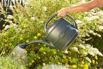 Best products to conserve water and still care for your garden during the hosepipe ban