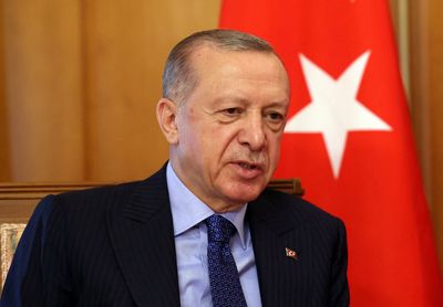 Erdogan to discuss Zaporizhzhia nuclear plant with Putin