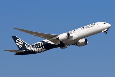 Horror wake-up call as oxygen masks drop and emergency alerts go off on night flight