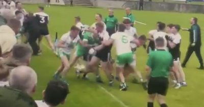 Video showing mass GAA brawl involving All-Ireland senior champions goes viral