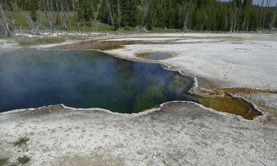 Foot (and shoe) found floating in a Yellowstone park hot spring