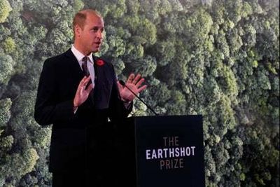 Prince William to attend New York climate summit — but not visit Harry