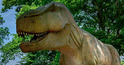 Scots castle set to play host to a special dinosaur event with life-size dinos this October