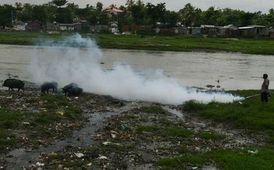 Japanese Encephalitis claimed 77 lives in Assam since July: National Health Mission