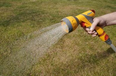 Don’t call us to report hosepipe ban breaches, asks police force after 1,000 calls a day