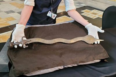 Glasgow museum becomes first in UK to repatriate items to India