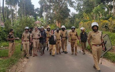 Tigress, cubs driven back into forest in Wayanad