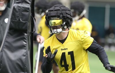 Handing out Pittsburgh Steelers training camp superlatives