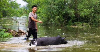 Seven tourists die in China as officials blame ‘wild trip’ social media craze