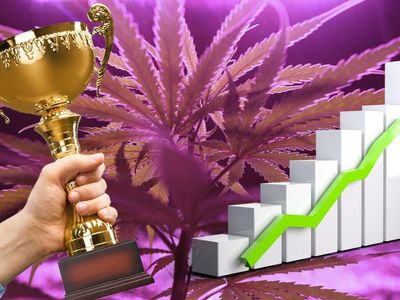 These Are The Most Important Investors In The Cannabis Industry