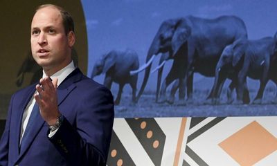 Prince William charity uses bank that is one of world’s biggest fossil fuel backers