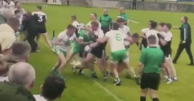 Video showing Down GAA brawl involving All-Ireland club champions goes viral