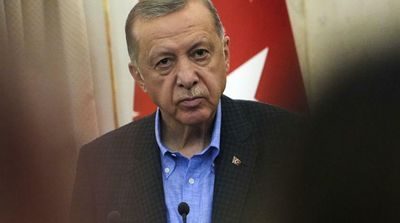 Erdogan Says Türkiye Not Looking to Take Syrian Territory