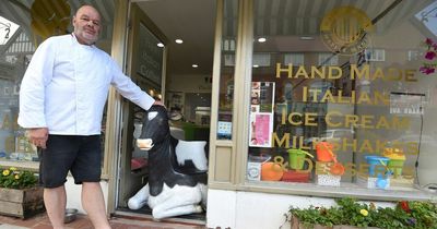 Tracy the cow banned by council and ice cream man says it's a 'nightmare'