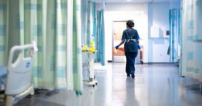 'Winter will be a humanitarian crisis unless dangerous hospital bottleneck is solved', warn NHS medics