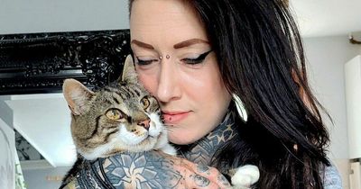 Cat reunited with family in remarkable coincidence after going missing 11 years ago