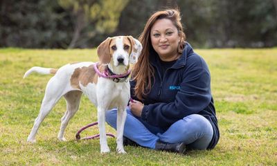 No puppy love: post-lockdown lifestyles and cost of living are driving Australians to surrender their pets