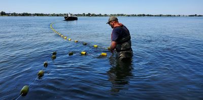 Contaminants of emerging concern, found in sunscreens and plastics, end up in the St. Lawrence River