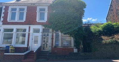 Three-bed semi-detached house on sale for just £32,000 - but it's invaded by plants