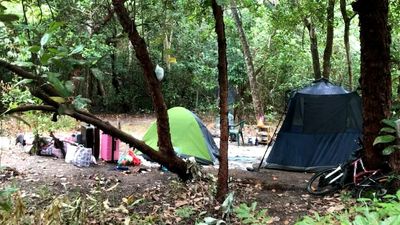 Homeless Cairns teenagers and baby living in Manunda bush as support service stretched thin