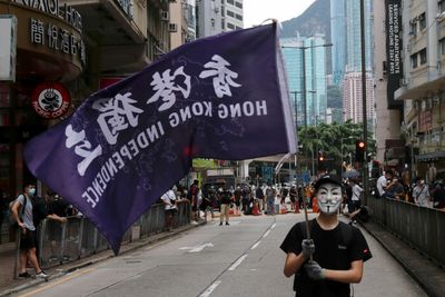 More Hong Kong activists plead guilty